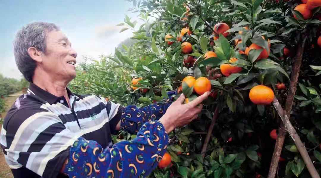 微信圖片_20181106152612.jpg 微信圖片_20181106152612.jpg