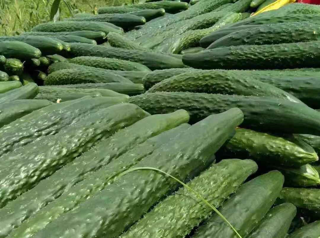 微信圖片_20181106152635.jpg 微信圖片_20181106152635.jpg