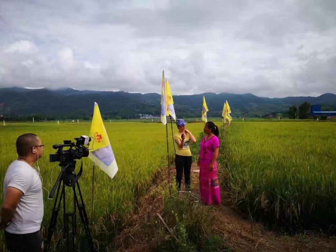 微信圖片_20181106152617.jpg 微信圖片_20181106152617.jpg